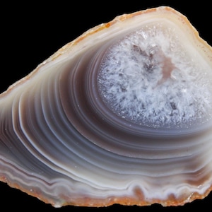 Puede incluir: Una rodaja de ágata pulida con bandas concéntricas de color gris, blanco y marrón translúcido. El centro contiene un grupo de pequeños cristales de cuarzo blanco brillante, y el borde exterior está definido por un fino borde de color naranja-marrón.
