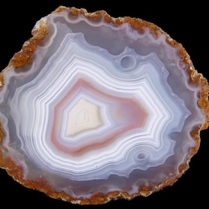 May include: A polished agate slice featuring concentric bands of translucent white, soft lavender, and pale pink hues. The centre displays a solid cream-coloured core, while the outer edge is defined by a rough, textured, rust-coloured mineral crust.