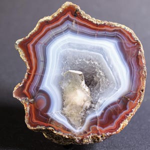 May include: A polished agate geode slice featuring concentric bands of deep reddish-brown, white, and translucent gray. The center contains a cluster of small, sparkling crystalline structures, and the outer edge has a rough, natural rocky texture.
