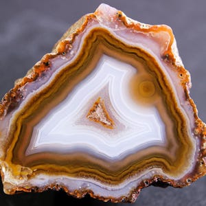 May include: A polished agate slice featuring concentric bands of white, cream, and various shades of brown. The centre displays a small, crystalline cavity surrounded by translucent layers, with a rough, textured outer edge in earthy tones.