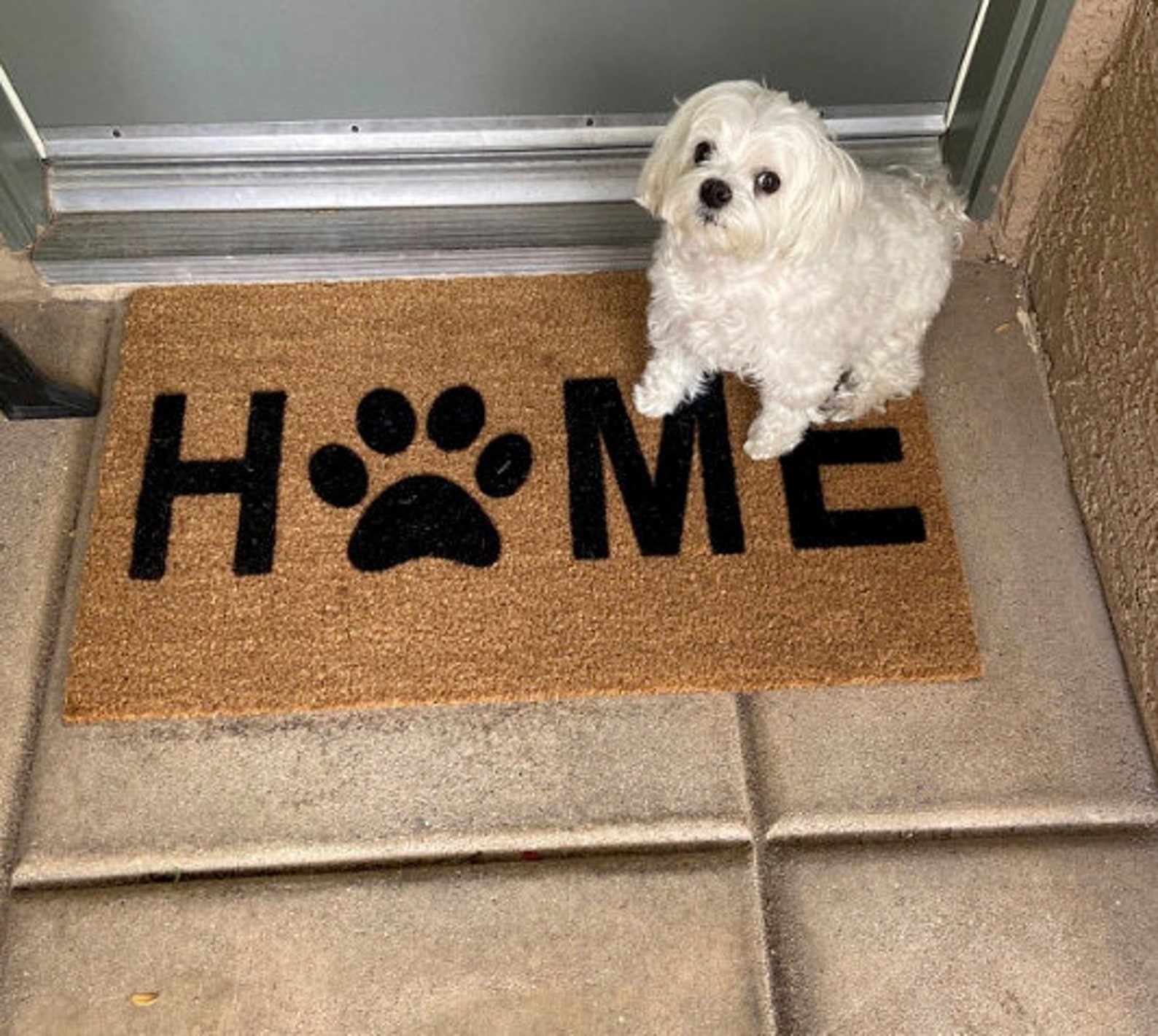 Home Dog Paw Print Doormat Dog Foot Print Pet Lover Etsy