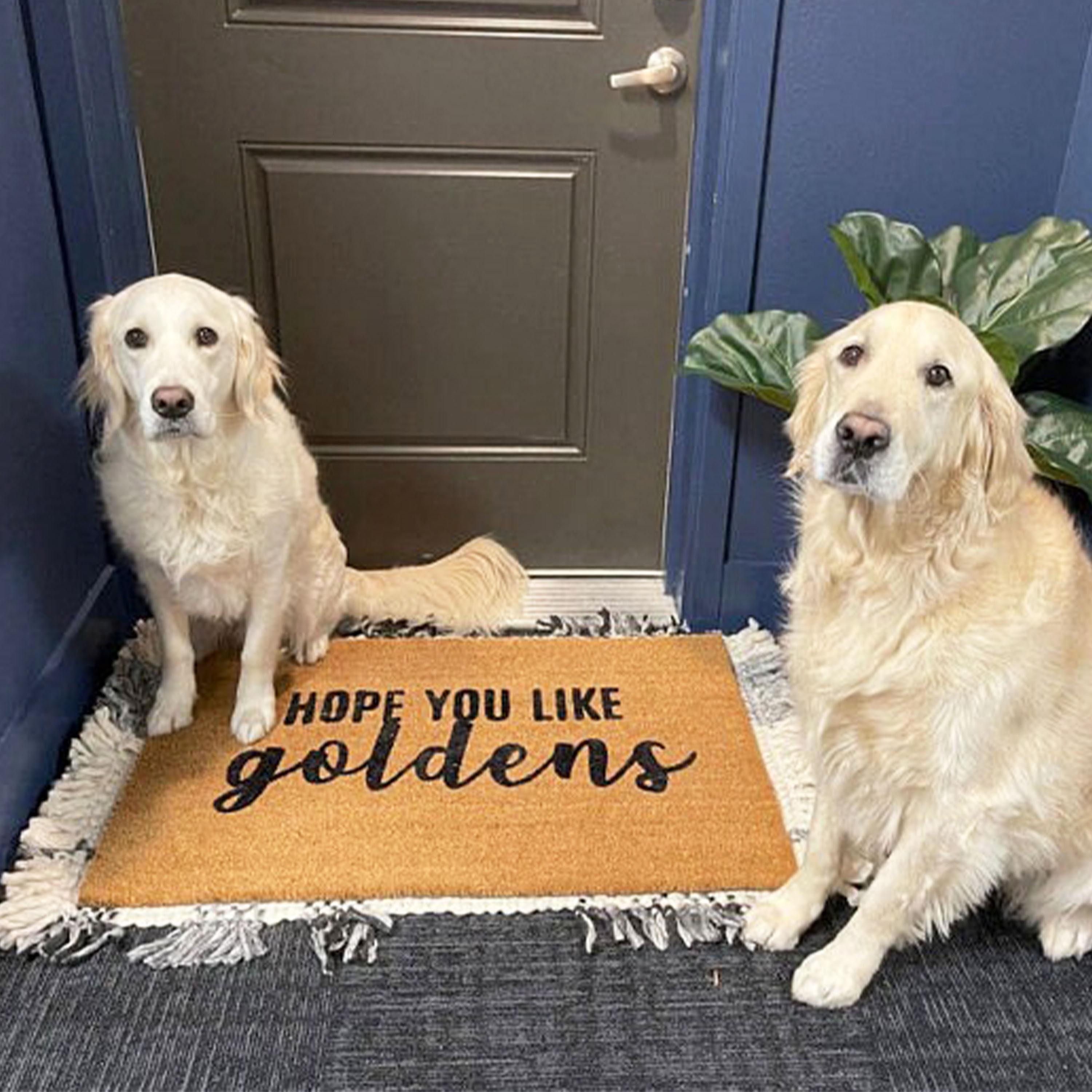 Golden Retriever Doormat Outdoor Welcome Mat With Paw Print