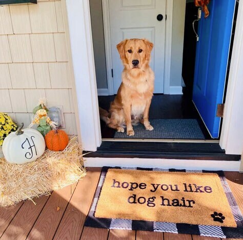 Hope you like store dog hair doormat