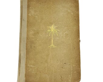 American Tropics Log Midwinter Cruise William T. Corlett First Edition 1908