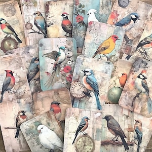 vintage Bird Junk Journal Ephemera, cartes journal, journal oiseau, journal vintage, kit de scrapbooking, fabrication de cartes, collage