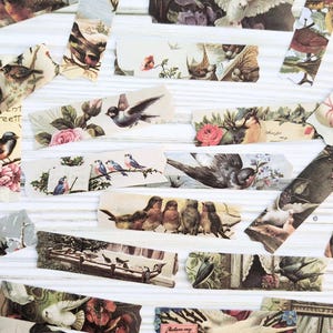 autocollants d'oiseaux vintage, autocollants de scrapbooking, autocollants de journal indésirable, journal éphémères, éphémères vintage, fabrication de cartes, collage