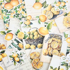 Papier journal indésirable, éphémères de scrapbooking, cartes de journal, papier de scrapbooking, kit de scrapbooking, kit de journal, papier citron, fabrication de cartes, collage