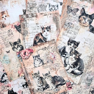 Papier journal indésirable, papier de fond de journal, papier de chat, kit de scrapbooking, papier de scrapbooking, fabrication de cartes, collage