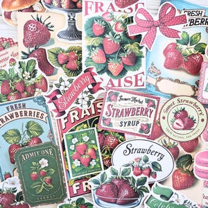 Papier journal indésirable, éphémères de scrapbooking, cartes journal, papier de scrapbooking, kit de scrapbooking, kit de journal, papier fraise, fabrication de cartes, collage