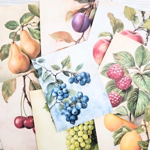 Papier journal indésirable, éphémères de scrapbooking, cartes journal, papier de scrapbooking, kit de scrapbooking, kit de journal, papier fruité, fabrication de cartes, collage