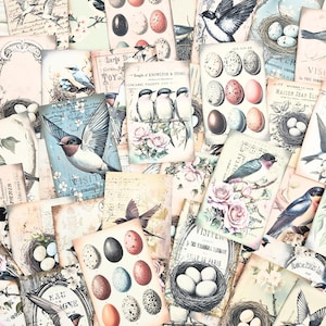 vintage Bird Junk Journal Ephemera, cartes journal, papier pour journal intime, journal vintage, kit de scrapbooking, fabrication de cartes, collage