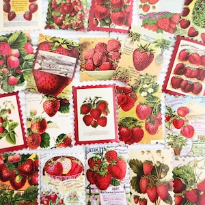 Autocollants pour tampons, autocollants pour journaux indésirables, autocollants fraises, autocollants pour scrapbooking, fabrication de cartes, collage