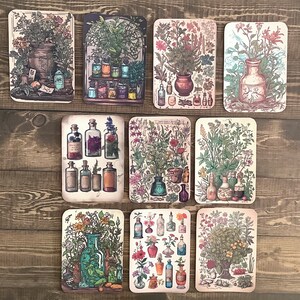 May include: Ten vintage botanical illustrations featuring various plants and flowers with glass bottles and jars filled with colorful liquids. The illustrations are in a vintage style with a white background and black outlines.