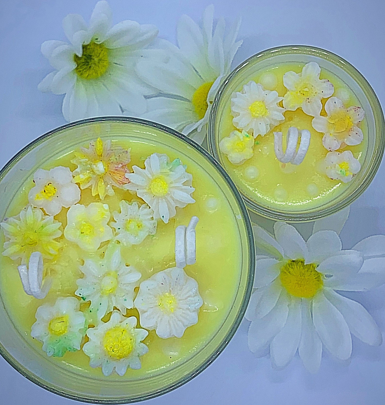 Daisy Daisy candle. highly scented and decorative candle with Etsy