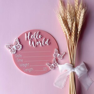 May include: A pink round plaque with the text "Hello World" in white script. The plaque has lines for recording a baby's date, time, weight in grams, and length in centimetres. There are three white butterfly cutouts on the plaque.