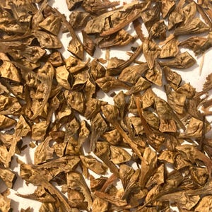 May include: A collection of small, dried, light brown botanical seeds with irregular, angular shapes and thin, elongated stems. The seeds are scattered across the frame, displaying a textured, woody surface with varying shades of tan and brown throughout the cluster.