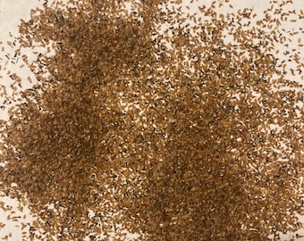Climbing Hydrangea Shrub Seeds (HYDRANGEA ANOMALA Petiolaris)