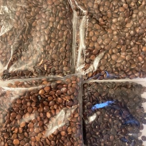 May include: Four clear plastic bags filled with brown seeds. The seeds are various shades of brown and some are darker than others.