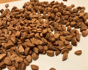Thornless Cockspur Hawthorn Tree Seeds - (CRATAEGUS CRUSGALLI INERMIS)