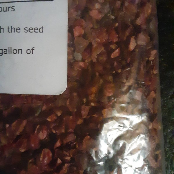 Arizona Cypress Tree Seeds (CUPRESSUS ARIZONICA)