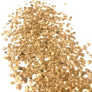 Mountain Alder Tree Seeds ( ALNUS CREMASTOGYNE)