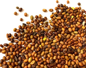 Pode incluir: Uma coleção de pequenas sementes de formato oval em vários tons de castanho, bege e chocolate escuro, com algumas sementes exibindo padrões manchados e ocasionais detalhes em amarelo brilhante ou verde espalhados sobre uma superfície branca.
