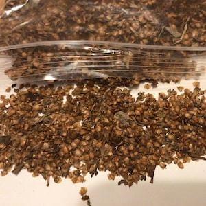 May include: A close-up of a plastic bag filled with small, brown seeds. The seeds are scattered on a white surface.