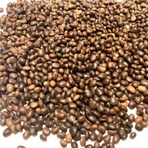 May include: A close-up shot of a large pile of small, dark brown beans. The beans are oval-shaped and have a smooth texture. The color varies from light to dark brown. The beans are scattered across a white surface.