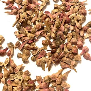 May include: A close-up shot of a collection of dried, small, beige and pink flower buds. The buds have a bulbous base and elongated, petal-like structures. The background is plain white, highlighting the natural colors and textures of the dried flowers.