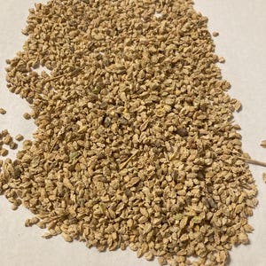 Four Wing Salt Bush Seeds ATRIPLEX CANESCENS chamiso chamiza Tree - Etsy