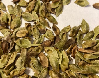 May include: A collection of dried, light brown and green seed pods. The pods are scattered on a white surface.