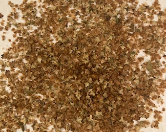 Downy Birch Tree Seeds (BETULA PUBESCENS) (White Birch)