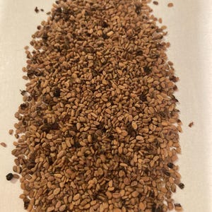 Chinese Angelica Tree Seeds (ARALIA CHINENSIS)
