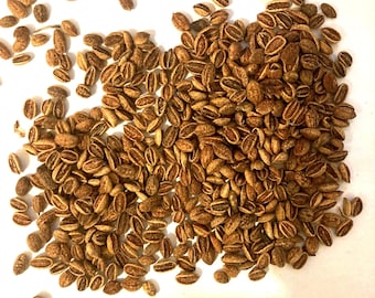 Linden Viburnum Seeds ( viburnum dilatatum )