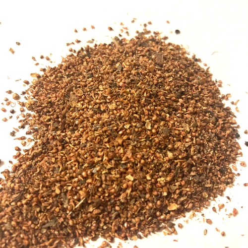Banyan Fig Tree Seeds (FICUS BENGHALENSIS)