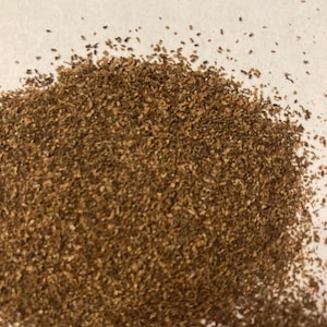 Oakleaf Hydrangea Shrub Seeds (HYDRANGEA QUERCIFOLIA)