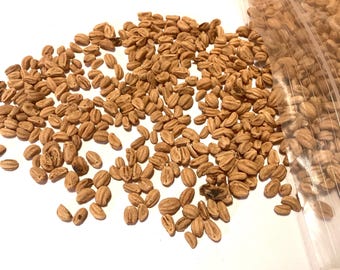 Scarlet Hawthorn Tree Seeds (CRATAEGUS COLUMBIANA)