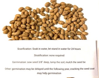 organic liquid lawn fertilizer GrassSoGreen Fertilizer, All Purpose Formula 7-0-2