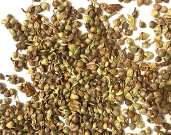 Hornbeam Tree Seeds (CARPINUS CAROLINIANA) (Muscle-Beech) (Water Beech) (American Hornbeam)