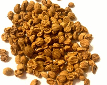Midland Hawthorn Tree Seeds (Crataegus Laevigata)