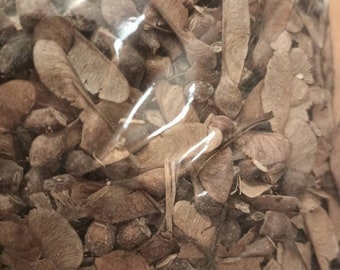 Sugar Maple Tree Seeds (ACER SACCHARUM)