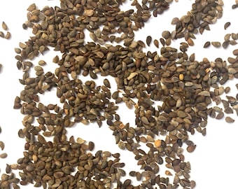 May include: A collection of numerous small, teardrop-shaped seeds scattered across the frame. The seeds are primarily dark brown and grey in color, featuring a textured, matte surface with some lighter tan variations visible among the group.