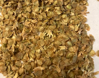 Red Birch Tree Seeds (BETULA NIGRA) (River Birch)