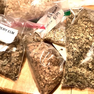 3 types of ELM TREE SEEDS (per order randomly chosen)