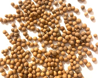 Common Dogwood Tree Seeds (CORNUS SANGUINEA)