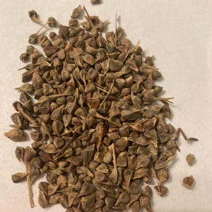 May include: A pile of brown, dried seeds with small, pointed tips.