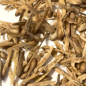 Silver Maple Tree Seeds (ACER SACCHARINUM) (Soft Maple) (White Maple) (Water Maple)(River Maple)