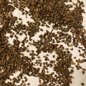 May include: Close-up of a scattering of small, brown seeds and fragments on a white surface. The seeds vary in shape and size, with some appearing more elongated and others more rounded. The overall color palette is dominated by shades of brown.