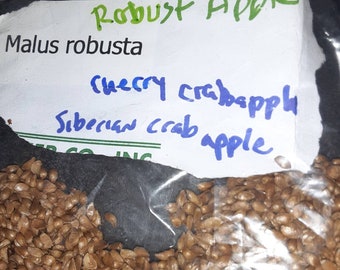 Cherry Crab Apple Tree Seeds (Malus Robusta)