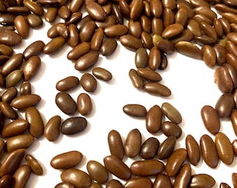 May include: A large collection of small, smooth, oval-shaped brown seeds scattered across the frame. Each seed features a glossy, uniform surface with varying shades of medium to dark brown, displaying a consistent bean-like structure and size.